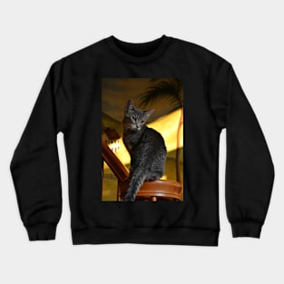 Kitten Crewneck Sweatshirt